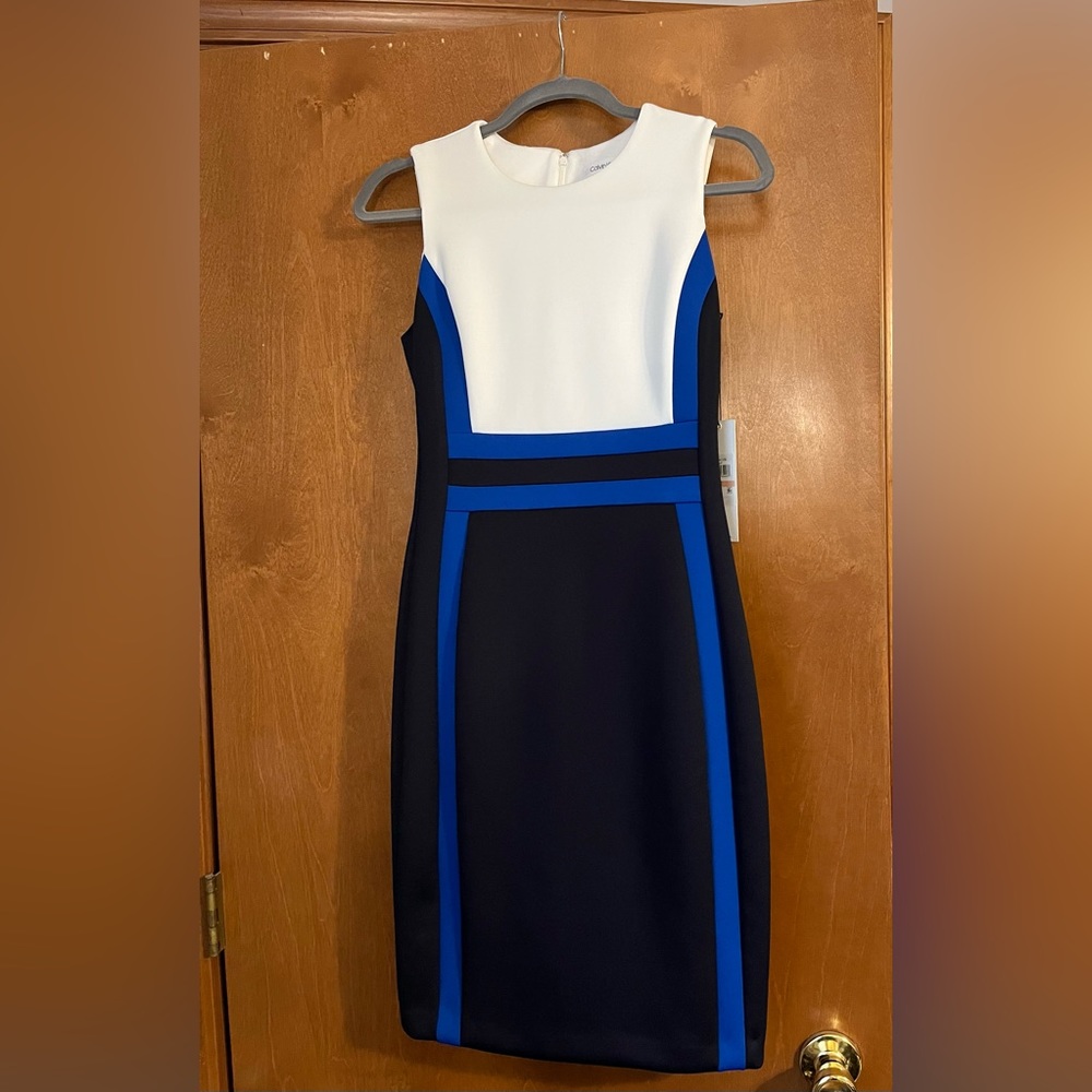 Calvin Klein Color Block Dress